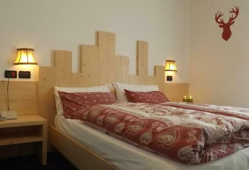 Номер Стандарт, Vigo