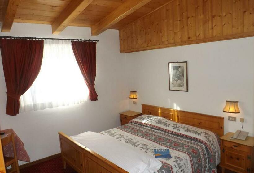 Номер Стандарт, Vigo