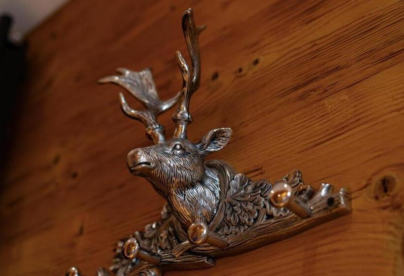 デラックスジュニアスイート, Villa Alpina S