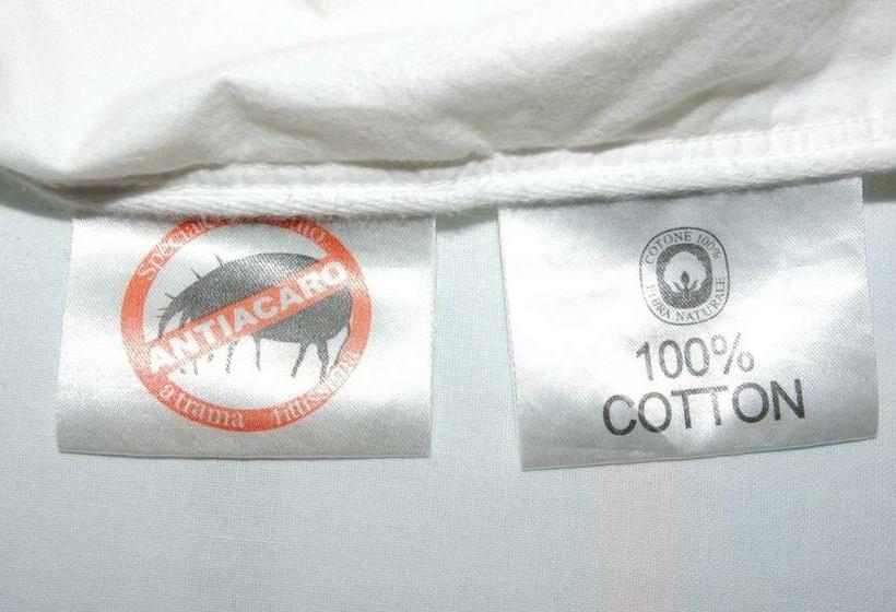 Номер Стандарт, Zanella