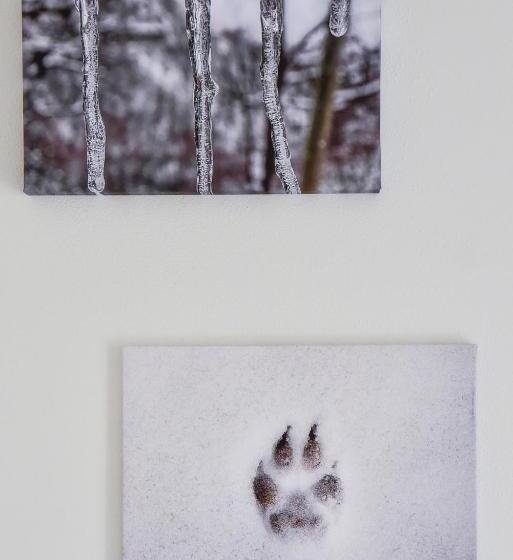 غرفة عائلية, B&b Al Lupo Solitario