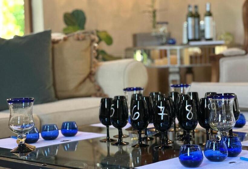 스탠다드 테라스 룸, Casa Cayé Solar Del Plata