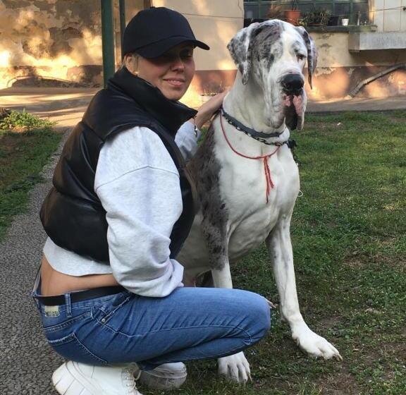 غرفة قياسية, La Casa Di Amos