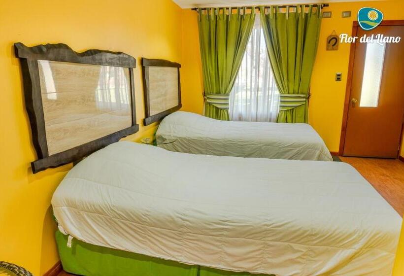 اتاق استاندارد, Complejo Deportivo Y Hotelero Flor Del Llano