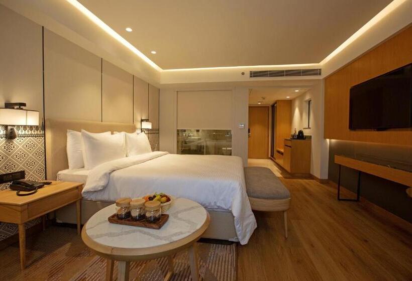 シティビューのスーペリアルーム, Arista By Ambition