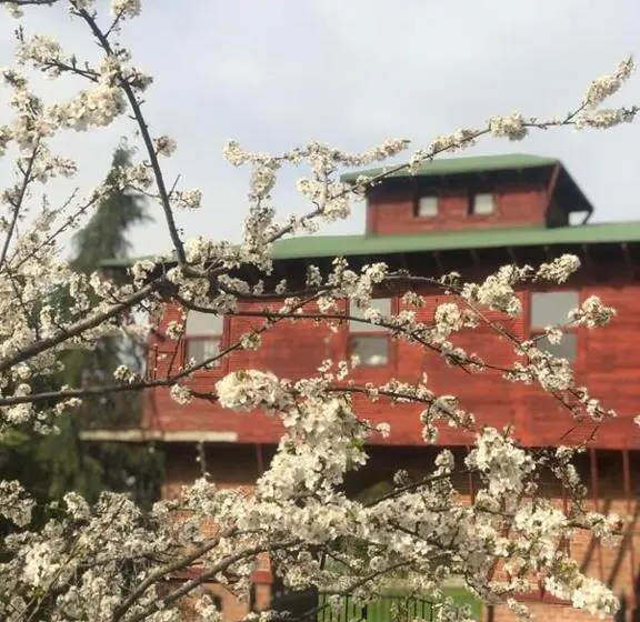 スタンダード４人部屋, Hermes Country Club