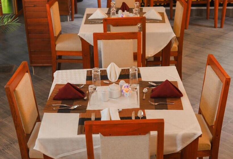 수피리어 싱글 룸, River House Lodge International