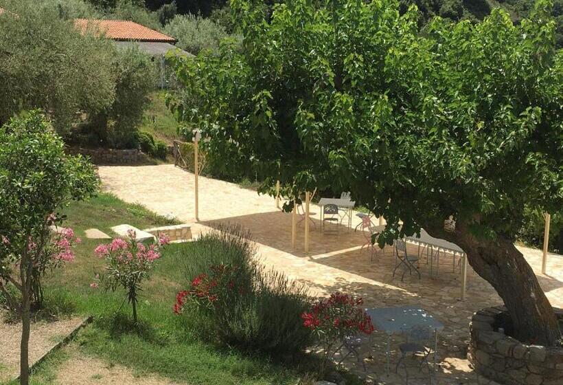 スタンダードシングルルーム, Antica Tindari