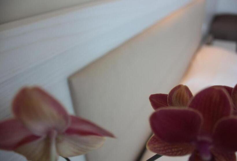 Standard Single Room, Augustus  Davanti A Noi C è Solo Il Mare