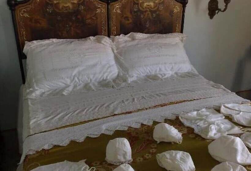 غرفة قياسية فردية, Omu Axiu