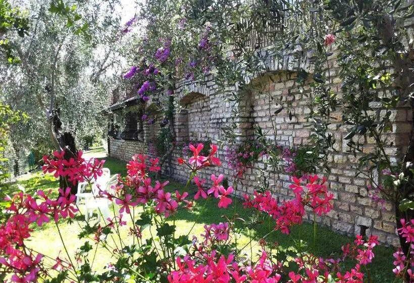 اتاق عادی, Villa Margherita