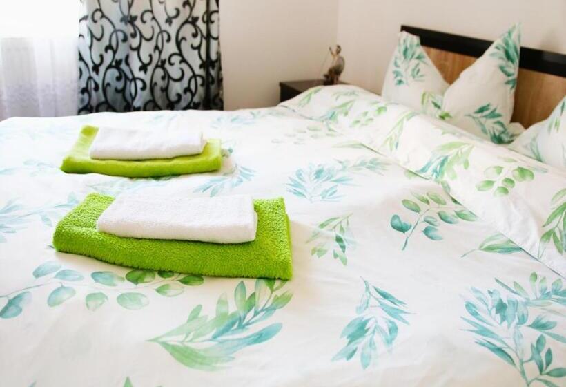 غرفة قياسية, Casa Guşă