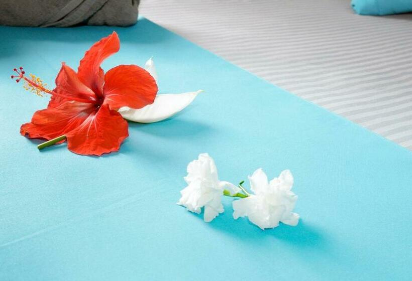 اتاق استاندارد, Lariad Bnb