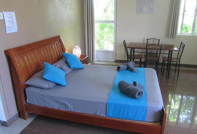 اتاق سوپریور, Lariad Bnb