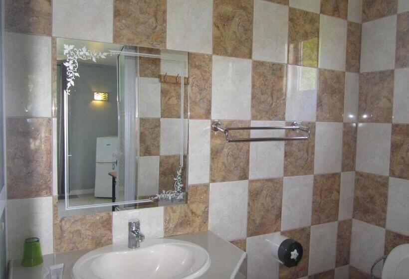 اتاق سوپریور, Lariad Bnb