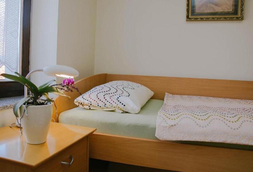 اتاق استاندارد یک نفره, Rooms Pri Lovrižu
