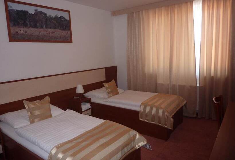 Quarto Estandar, Auto Jas