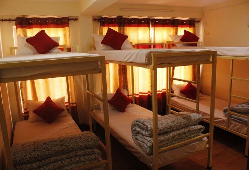 تختخواب در اتاق مشترک, Backpackers Inn