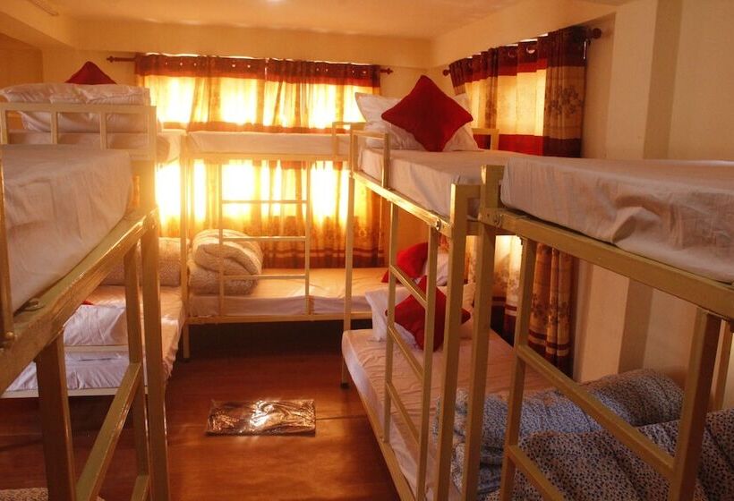 تختخواب در اتاق مشترک, Backpackers Inn