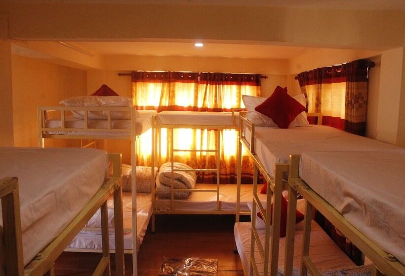 تختخواب در اتاق مشترک, Backpackers Inn