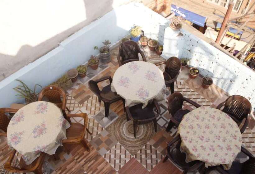 تختخواب در اتاق مشترک, Backpackers Inn