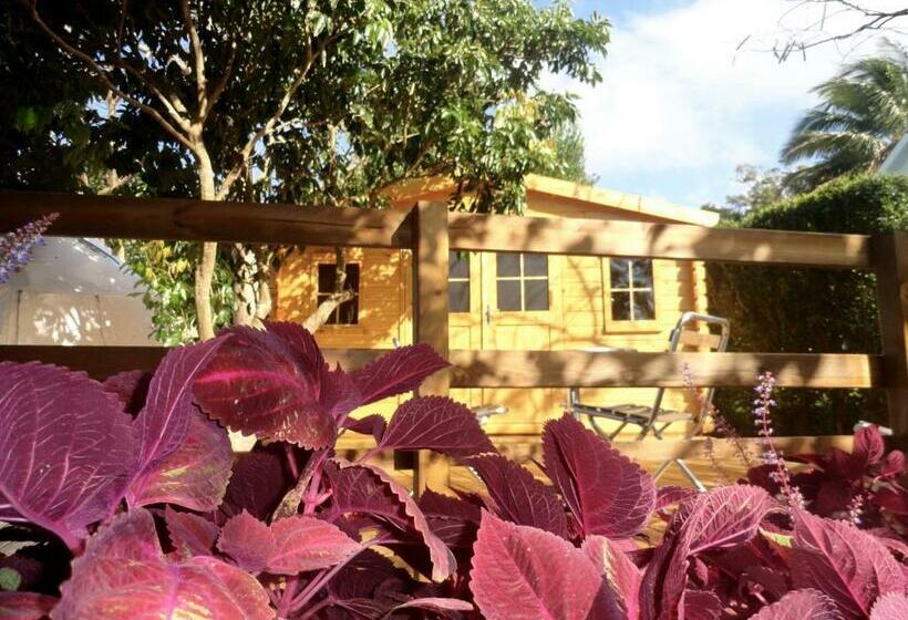 חדר משפחתי, Bubble Dome Village