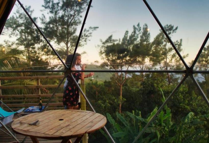 חדר סטנדרט, Bubble Dome Village