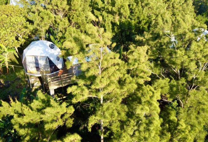اتاق استاندارد, Bubble Dome Village
