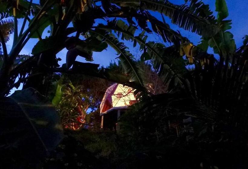 חדר סטנדרט, Bubble Dome Village