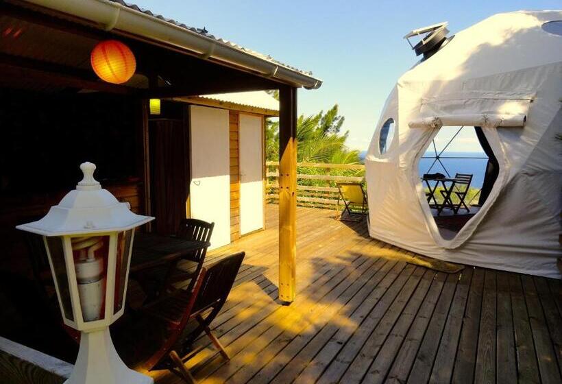 اتاق استاندارد, Bubble Dome Village