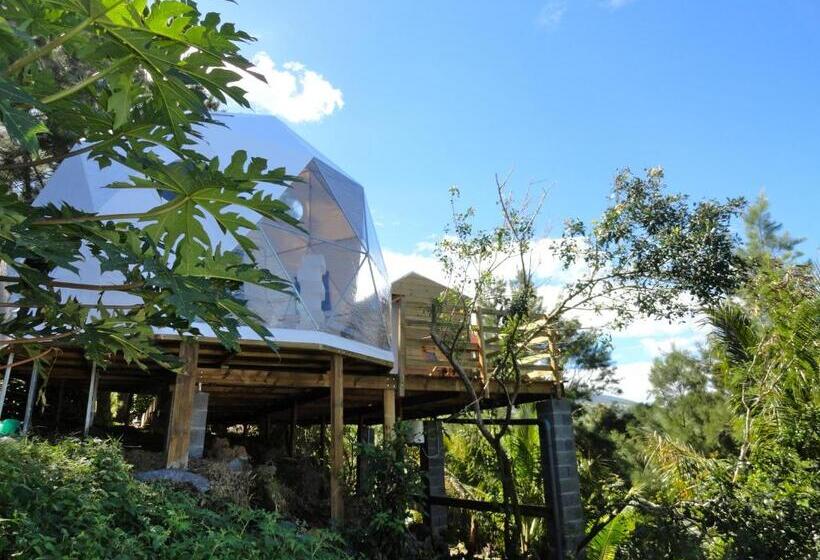 חדר סטנדרט, Bubble Dome Village