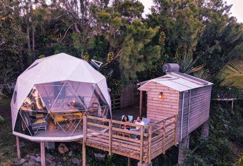 חדר סטנדרט, Bubble Dome Village