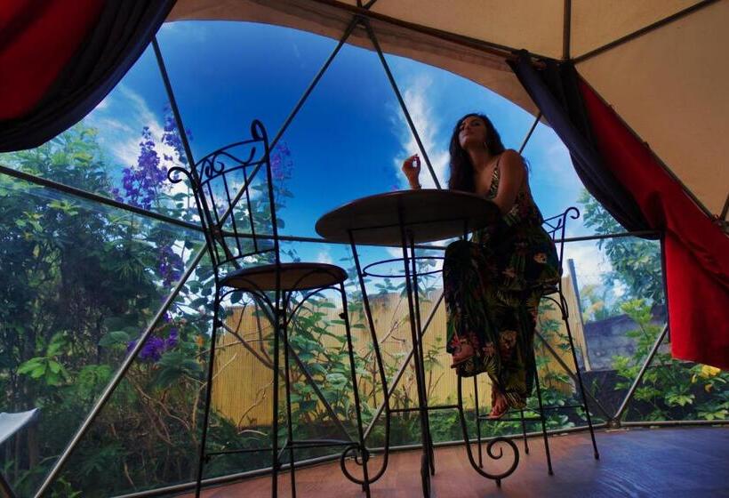 חדר סטנדרט, Bubble Dome Village