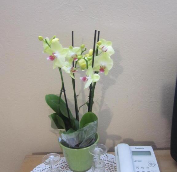 اتاق لوکس, Guest House Veronika