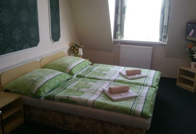 标准间, Pension Velický Zámoček