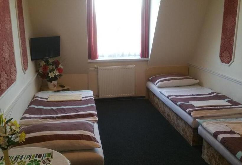 اتاق کلاسیک سه تخته, Pension Velický Zámoček