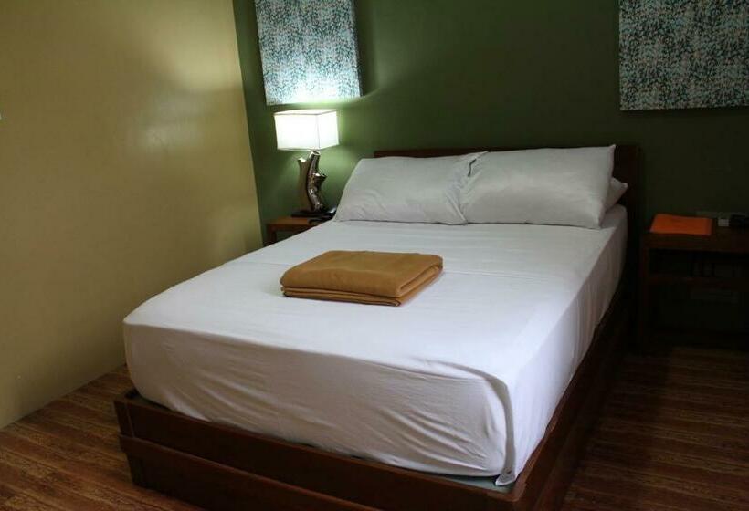 اتاق استاندارد, The Purple Tree Bed & Breakfast