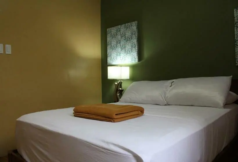 اتاق استاندارد, The Purple Tree Bed & Breakfast
