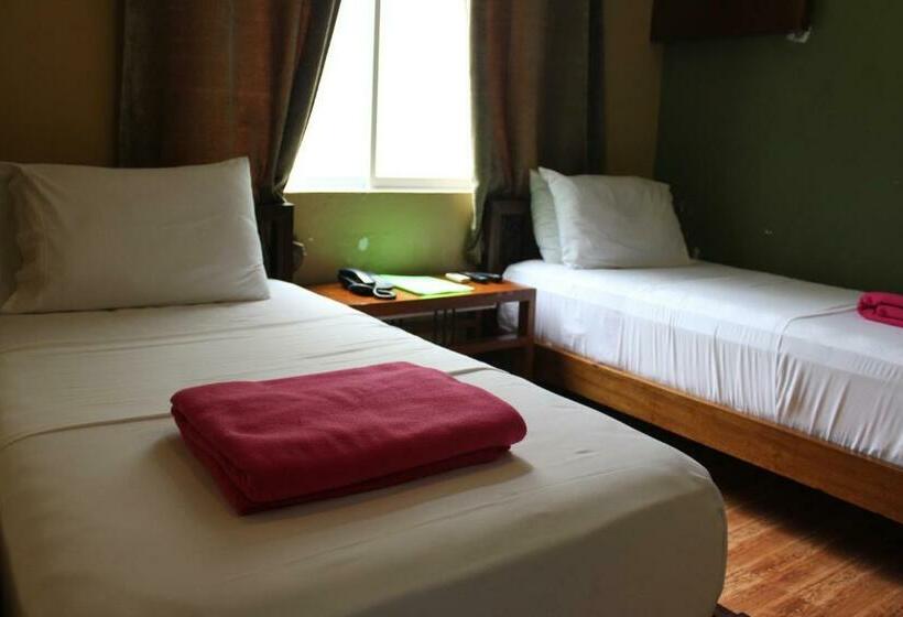 اتاق استاندارد, The Purple Tree Bed & Breakfast