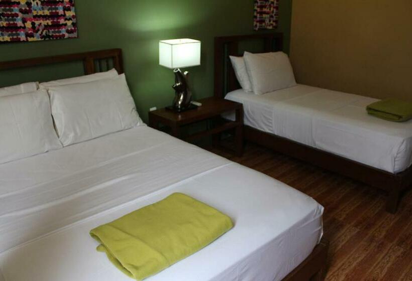 اتاق خانوادگی, The Purple Tree Bed & Breakfast