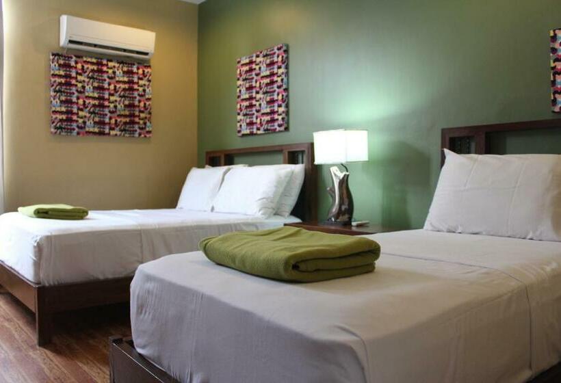 اتاق خانوادگی, The Purple Tree Bed & Breakfast