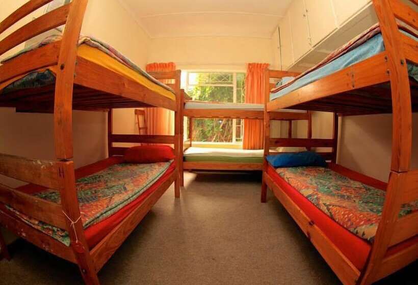 تختخواب در اتاق مشترک, Jeffreys Bay Backpackers
