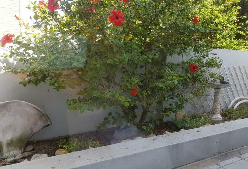 חדר סטנדרט, Beachcombers