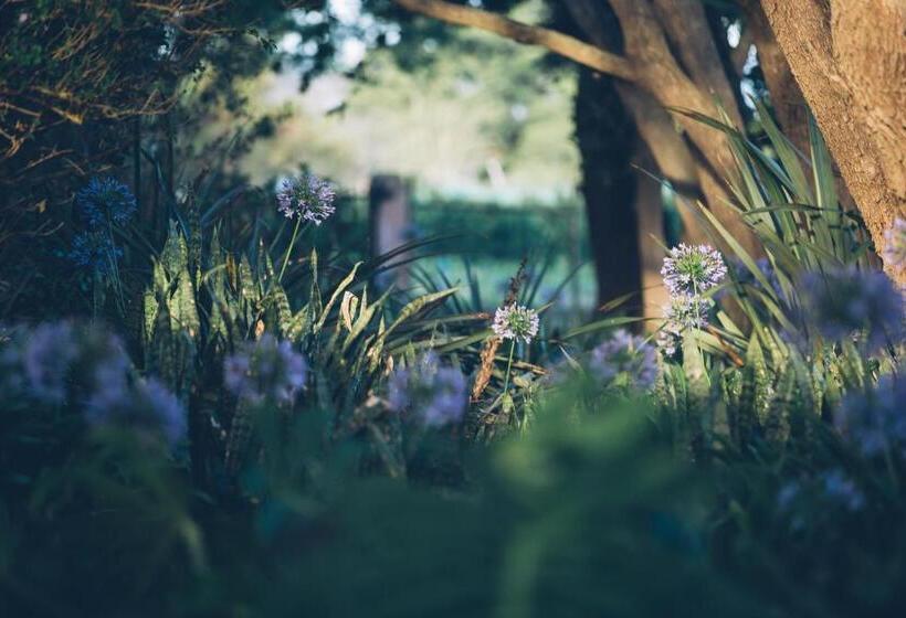 سوییت خانوادگی, Casa Mia Health Spa And Guesthouse