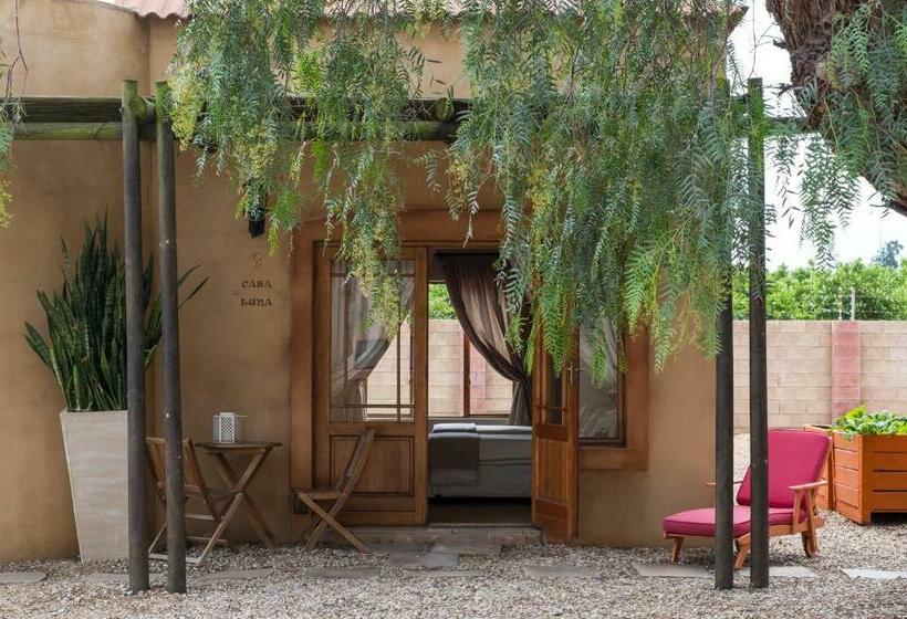 اتاق استاندارد, Casa Mia Health Spa And Guesthouse