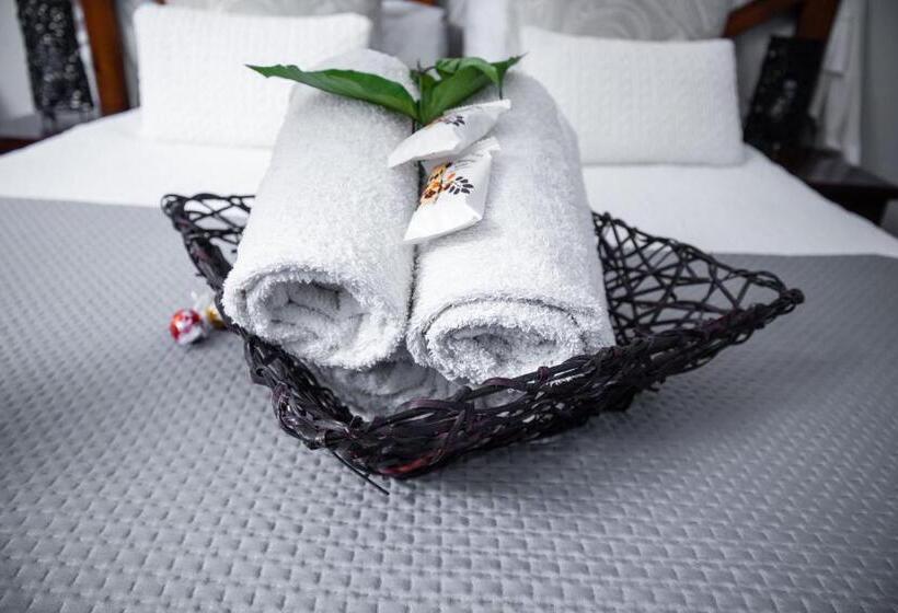 ベーシックルーム, Bothabelo Bed And Breakfast