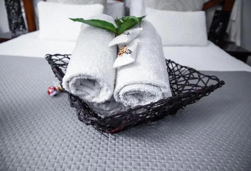 ベーシックルーム, Bothabelo Bed And Breakfast