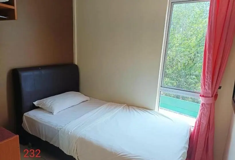 اتاق لوکس یک تخته, Doris