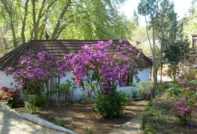 غرفة قياسية, Kings Lodge