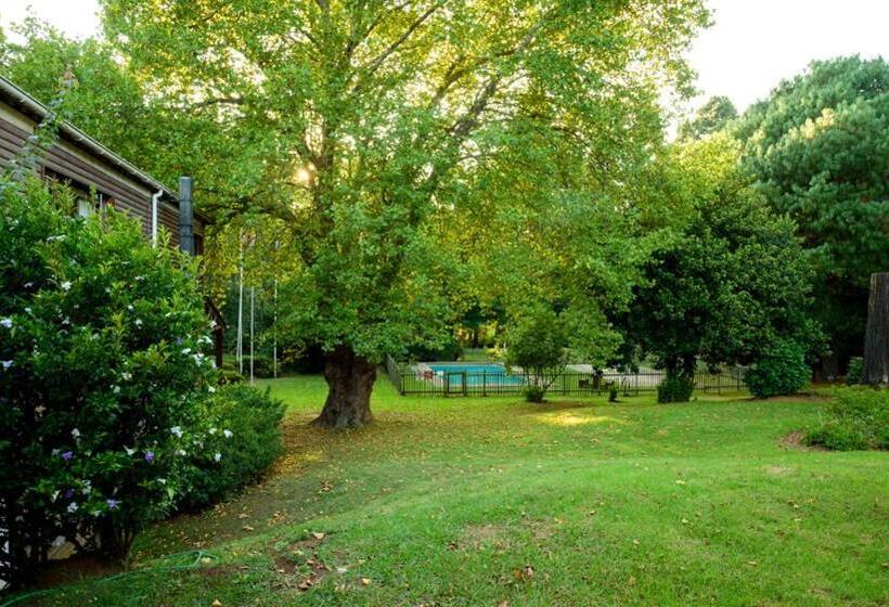 غرفة قياسية, Kings Lodge